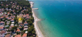 Gušt